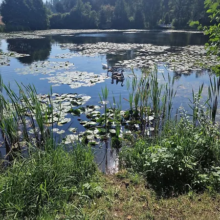 Czysta Woda, Caloroczny * Czarlin
