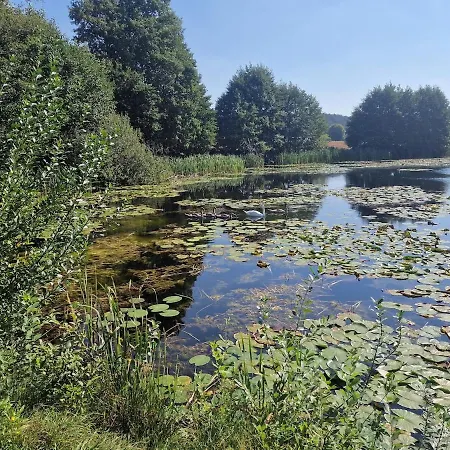 Czysta Woda, Caloroczny *